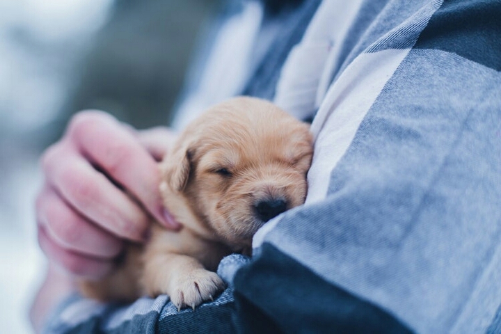 cute love♥