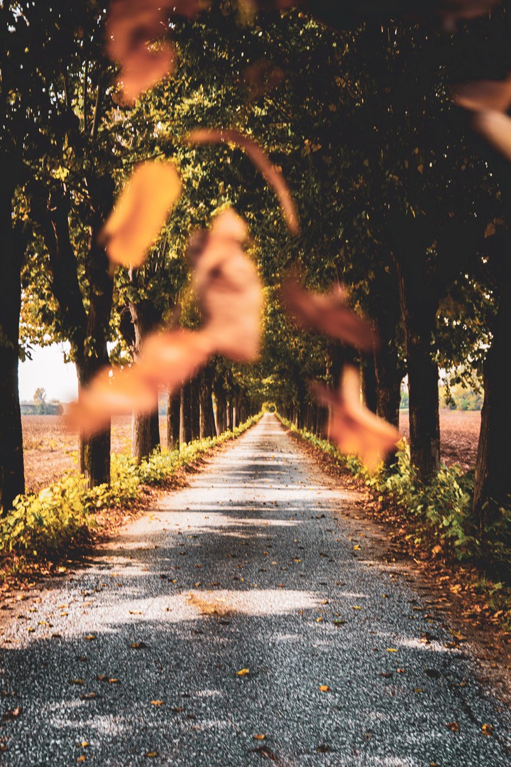 autumn collection