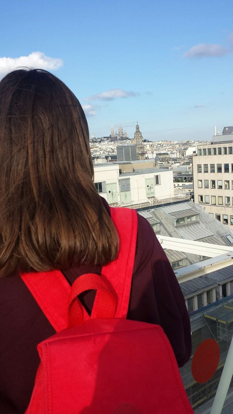 Paris roof