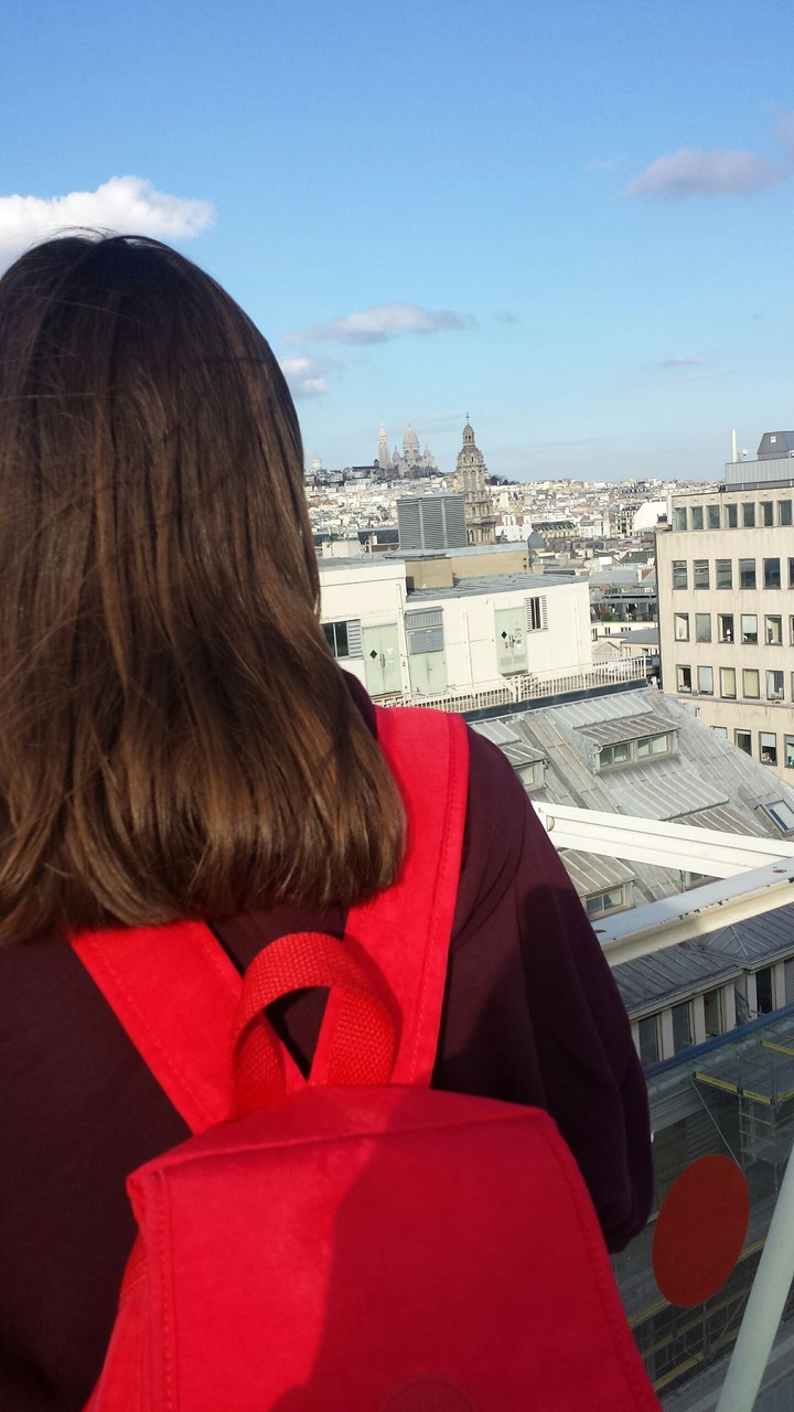 Paris roof