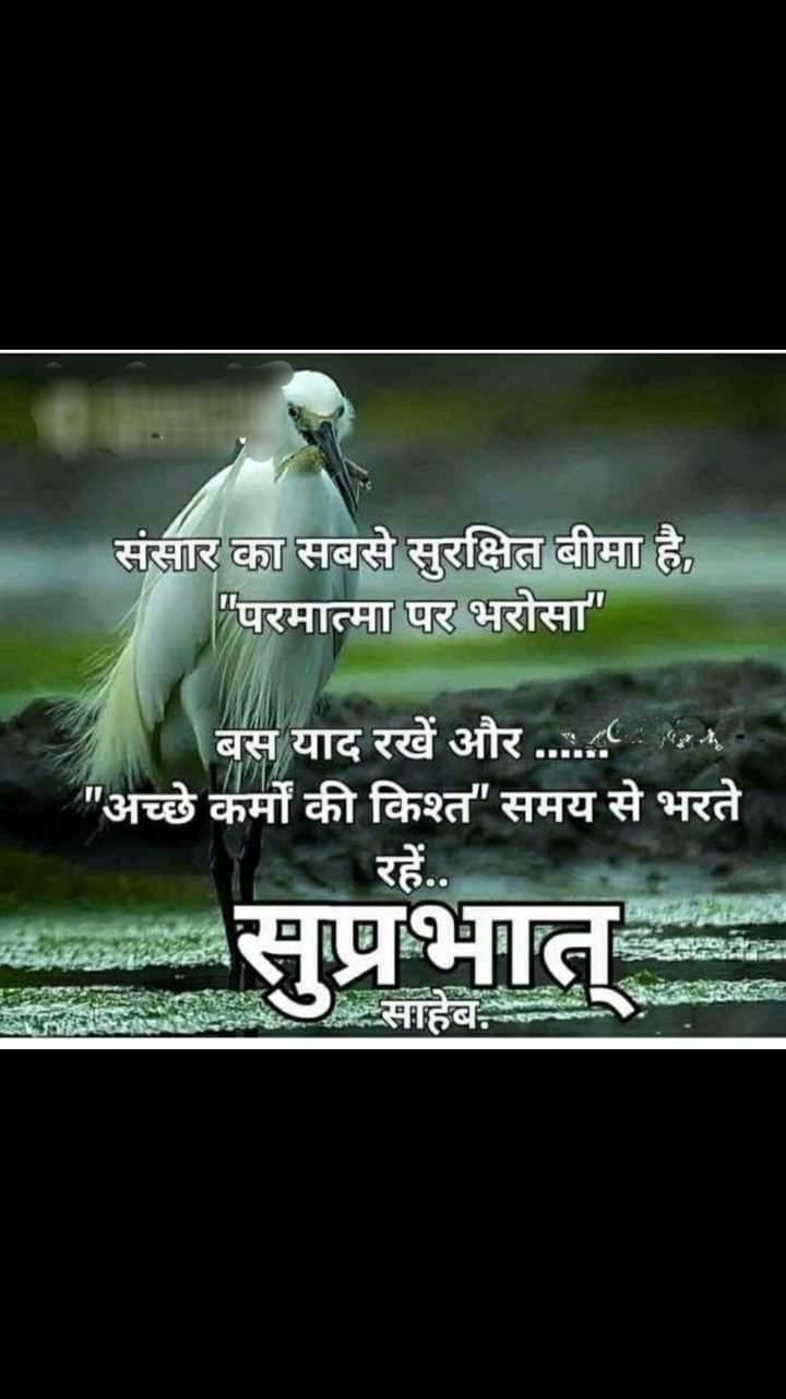 morning