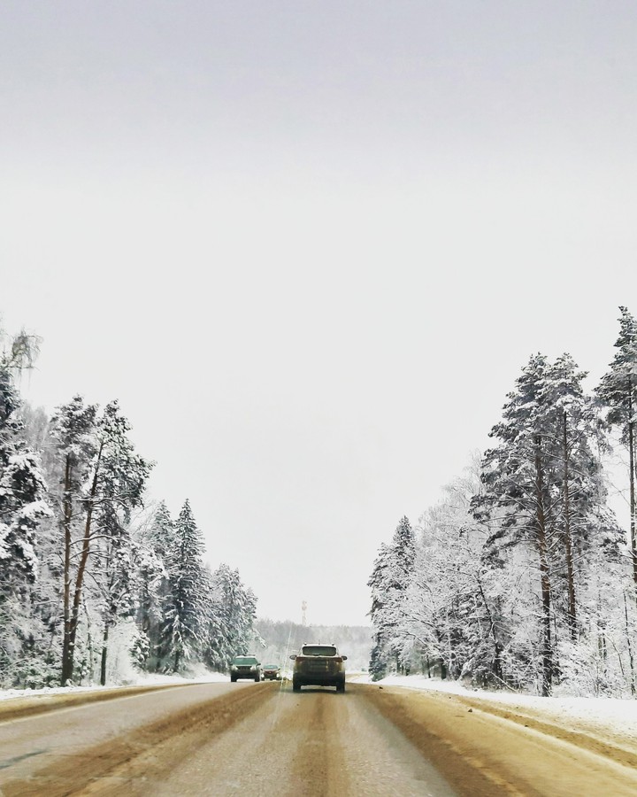 Following the stream up North