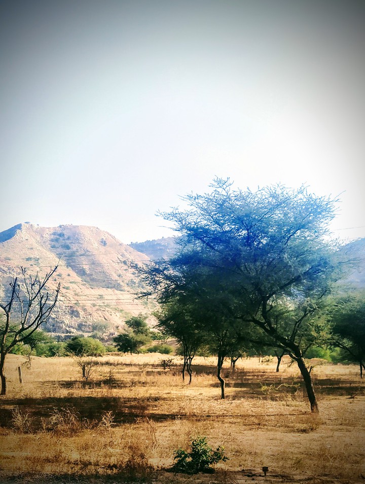 Rajasthan
