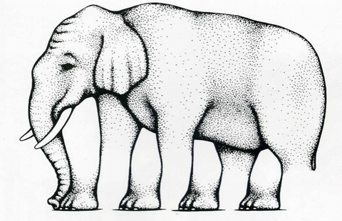 Is it an elephant ?