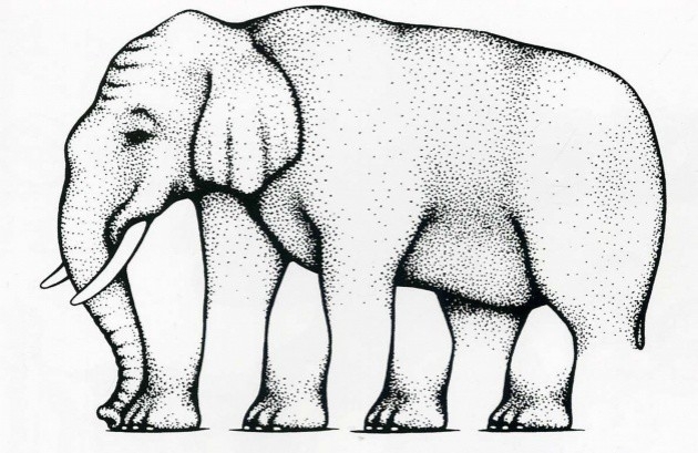Is it an elephant ?