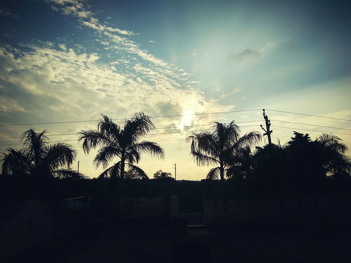 morning sunshine