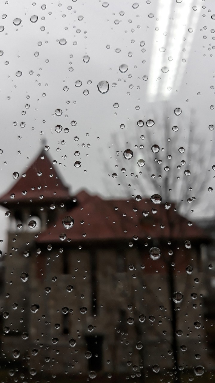 Rain