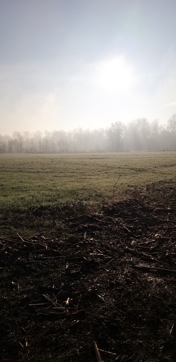 The nature