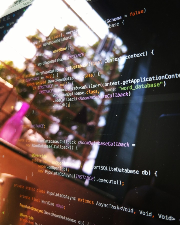Developer's window
