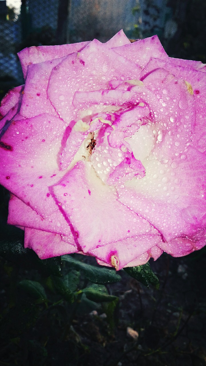.