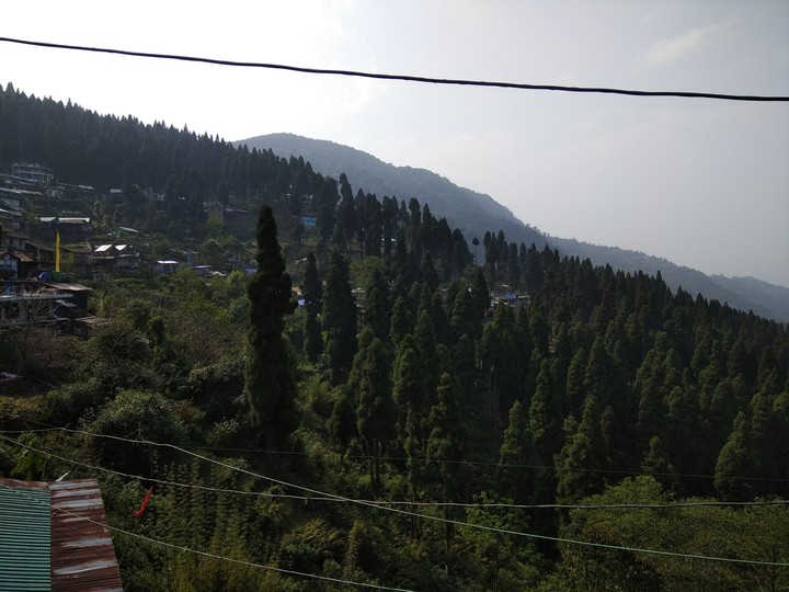 Nature