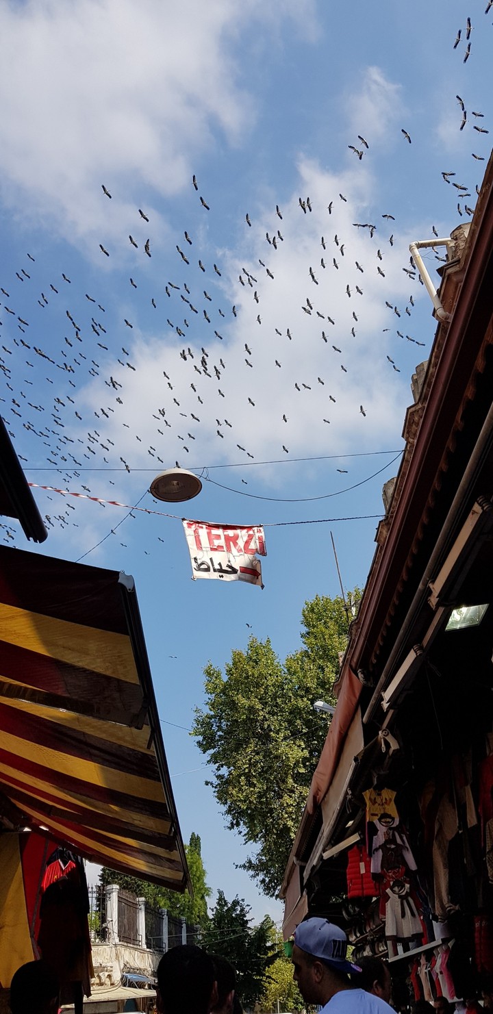 istanbul terzi