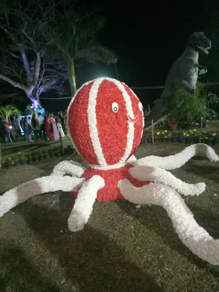 flower show