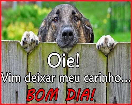 Para todos vocês meus amigos queridos.