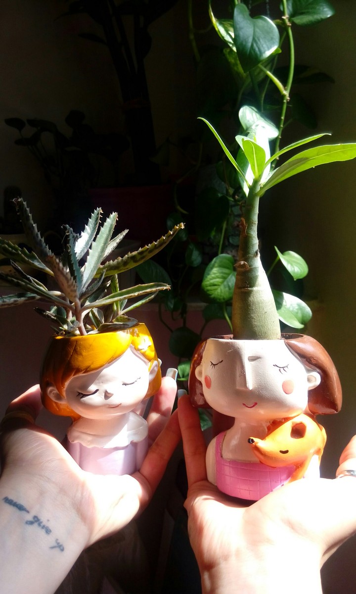 Flowers