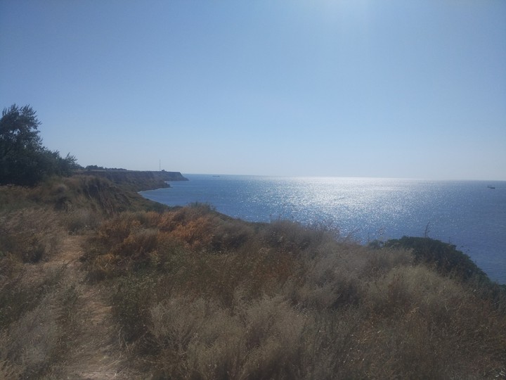 даль морская