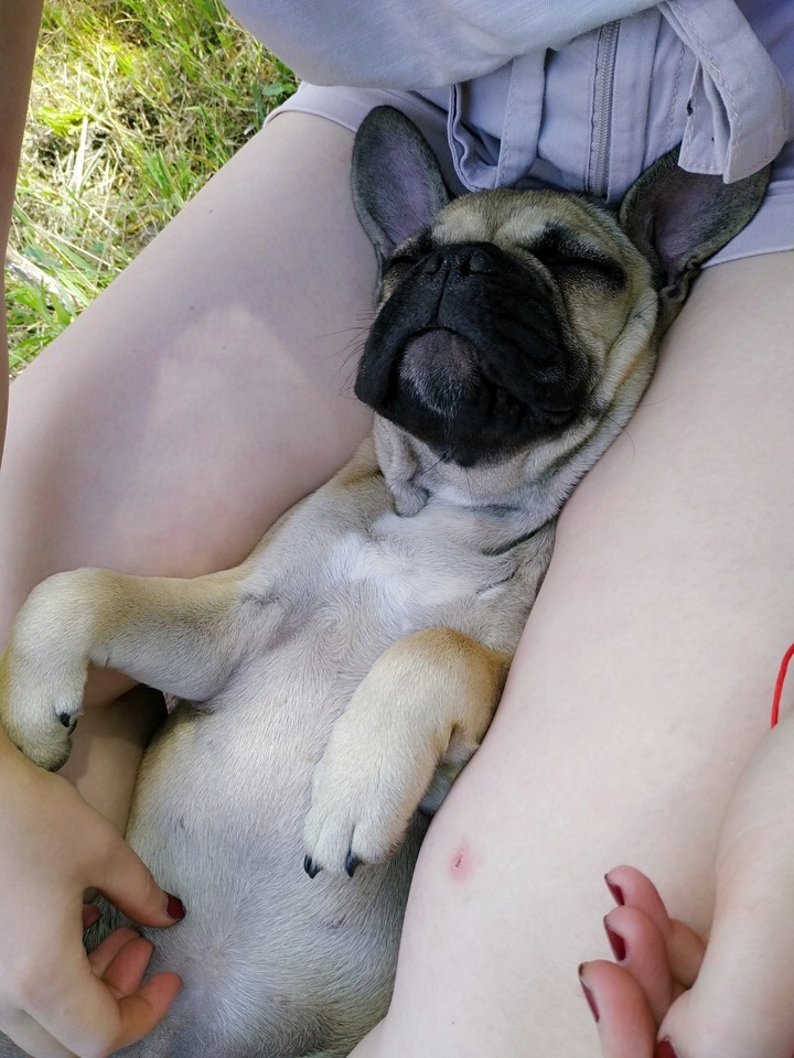 Relax )