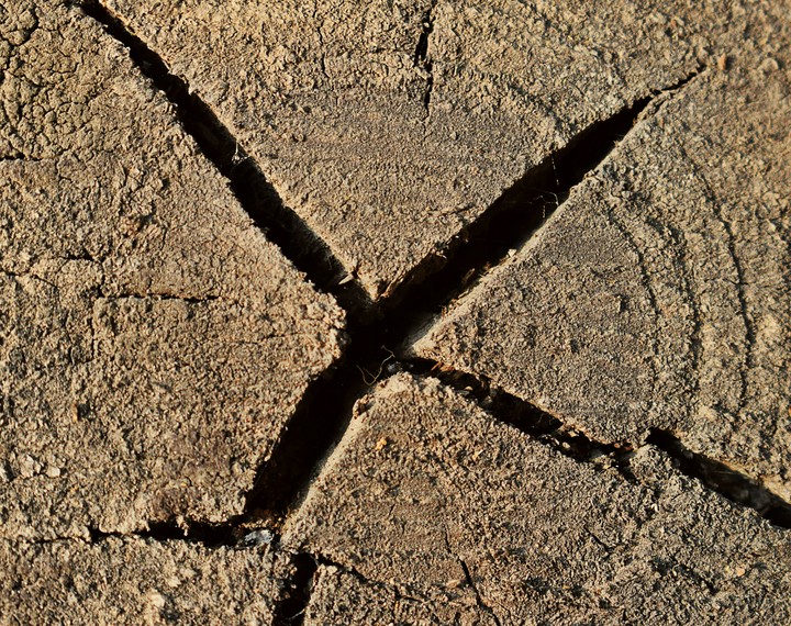 The Crossed Log
