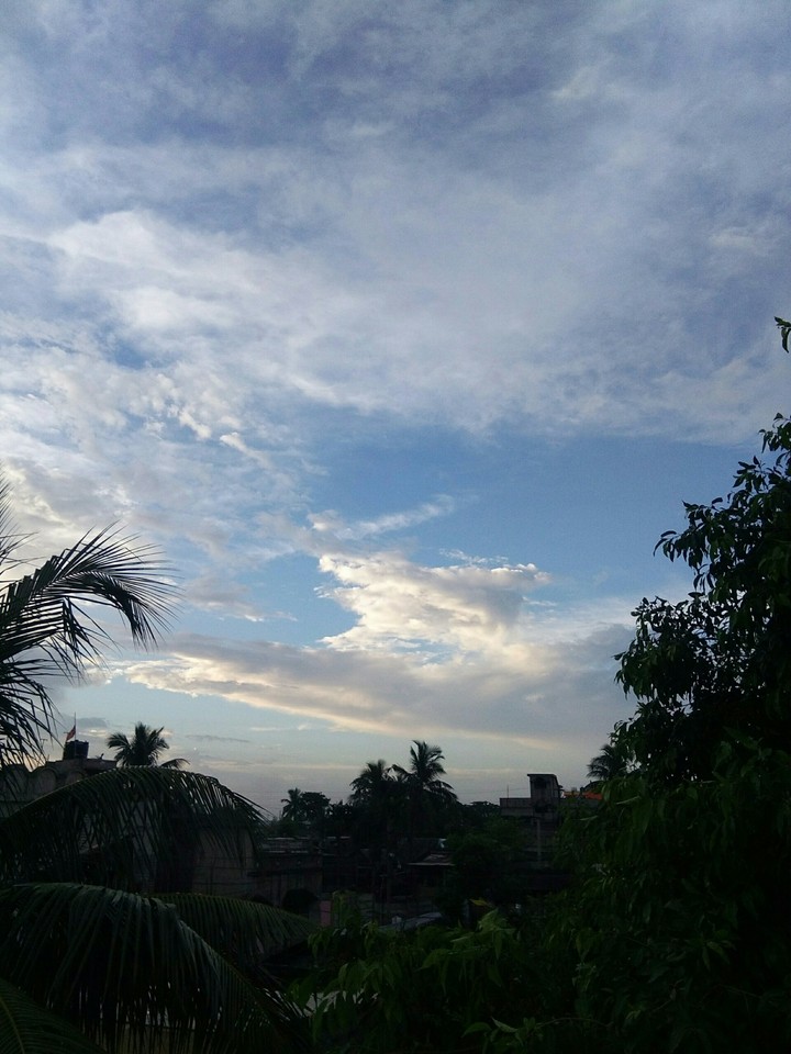 Nature