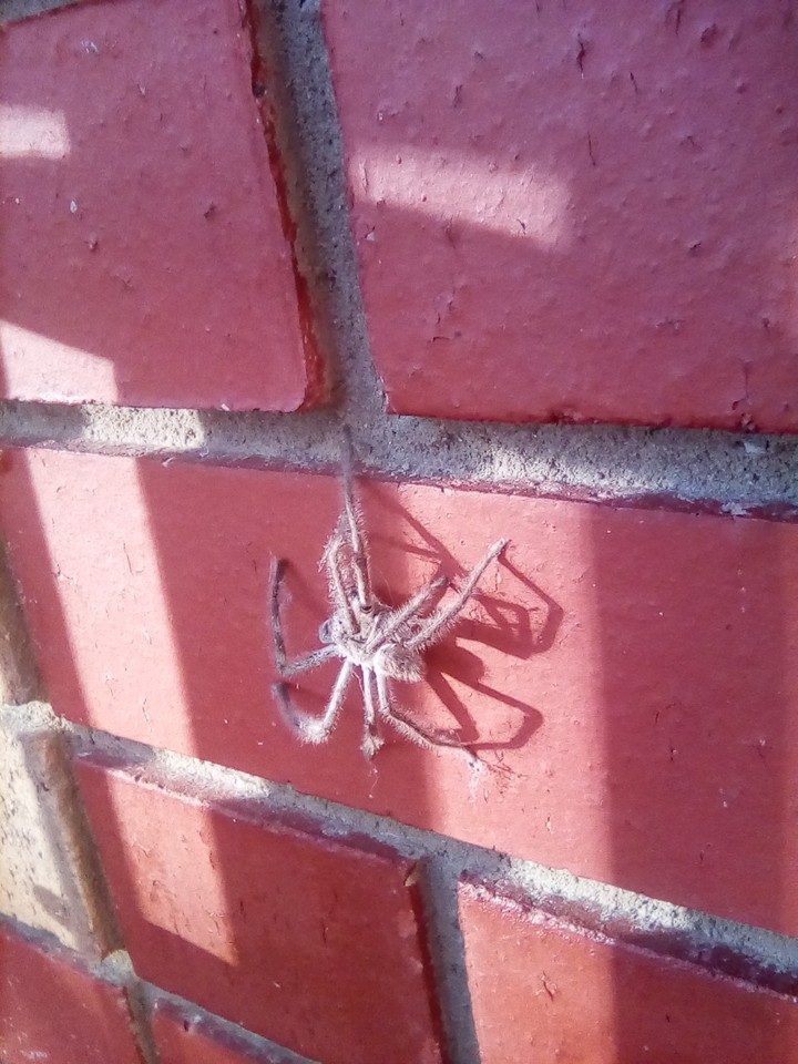 she is my stalker......catching some rays