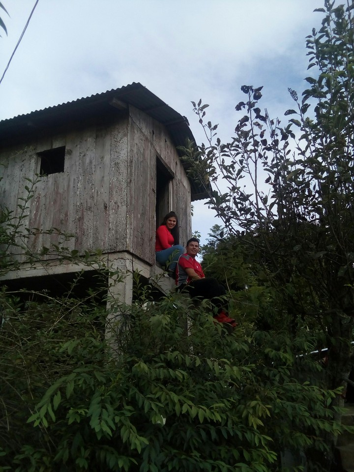 en la casita del árbol