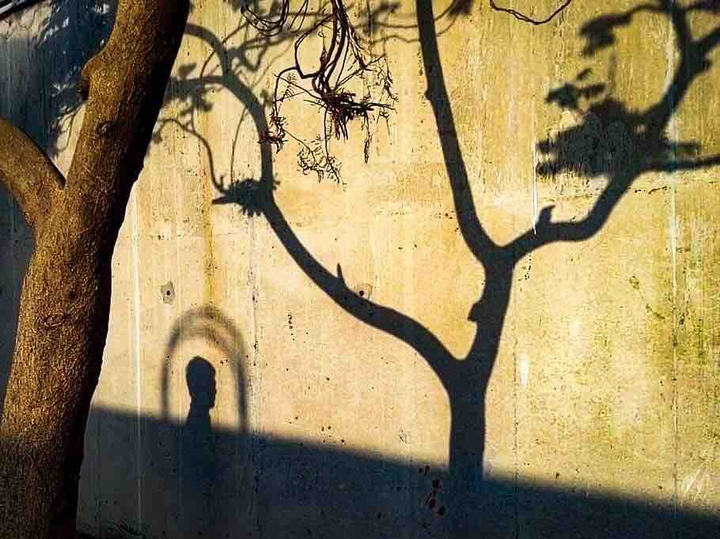 shadowplay