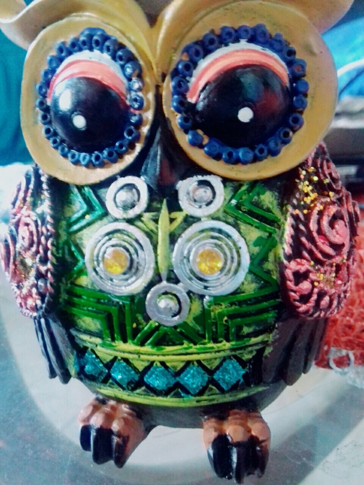 owl