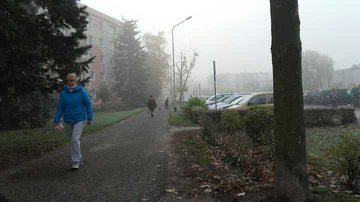 walk to the school