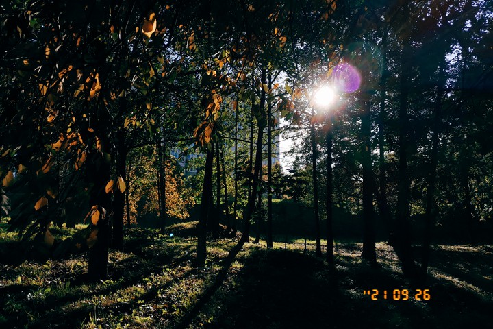 Minsk, Belarus, Fall