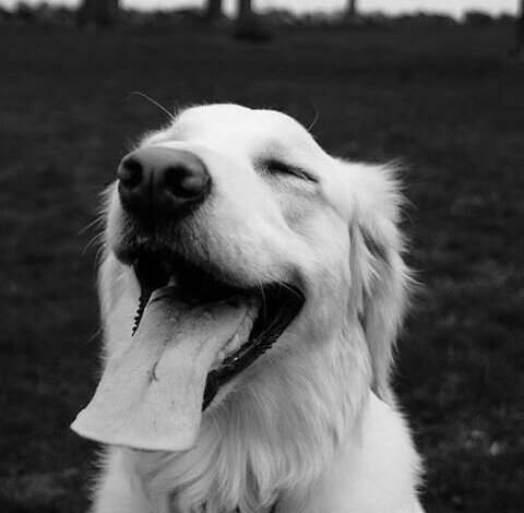 Always Smile