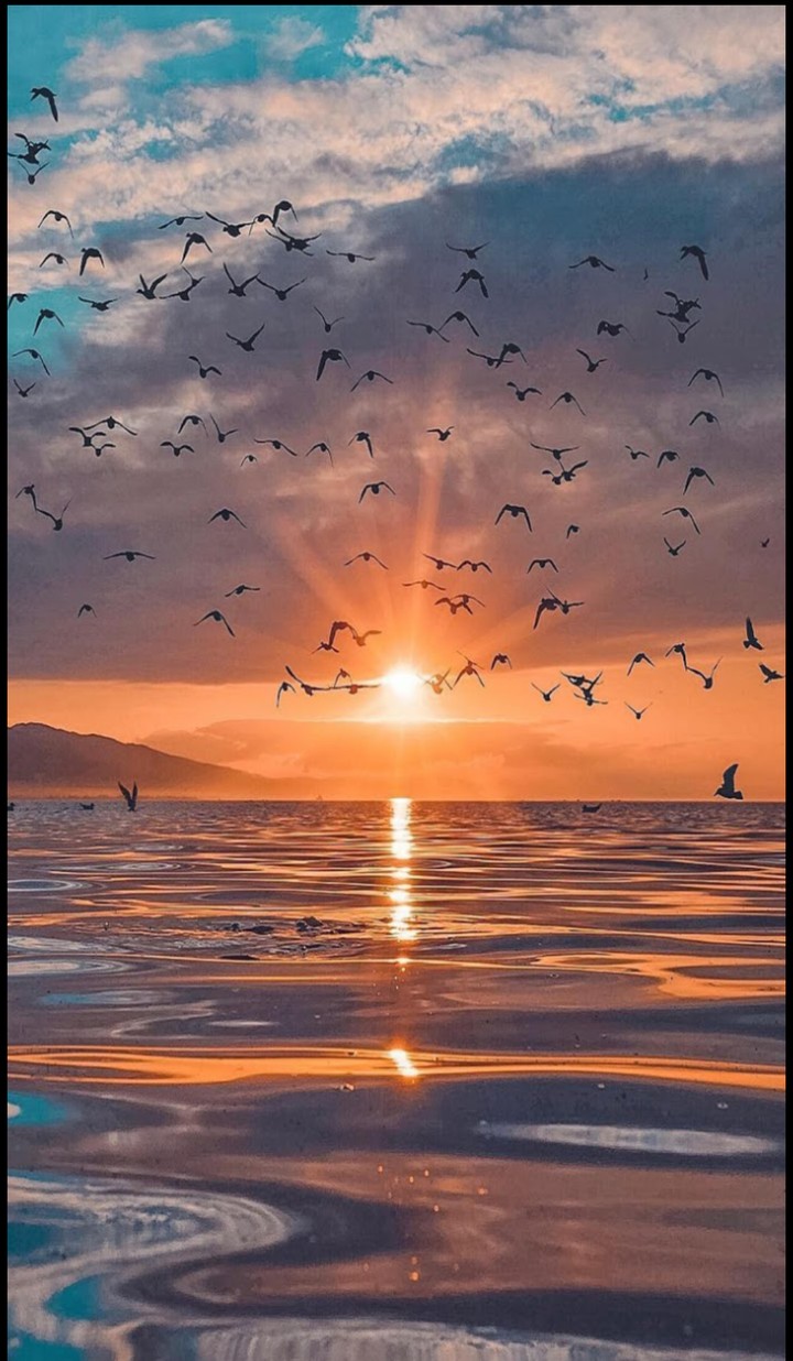 beautiful sunshine