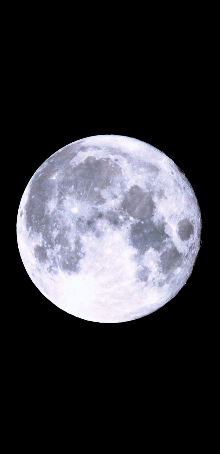 The moon