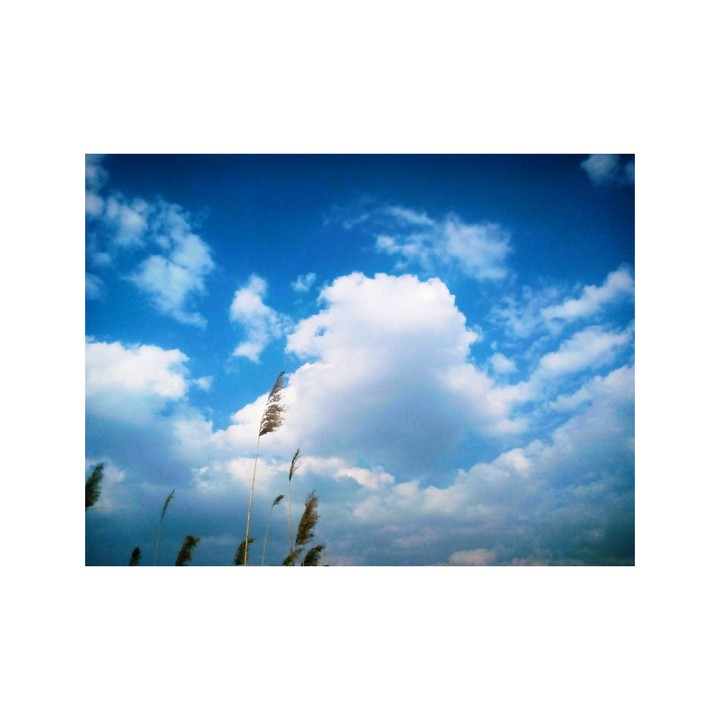 Sky☁