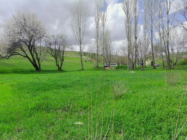 spring Nature