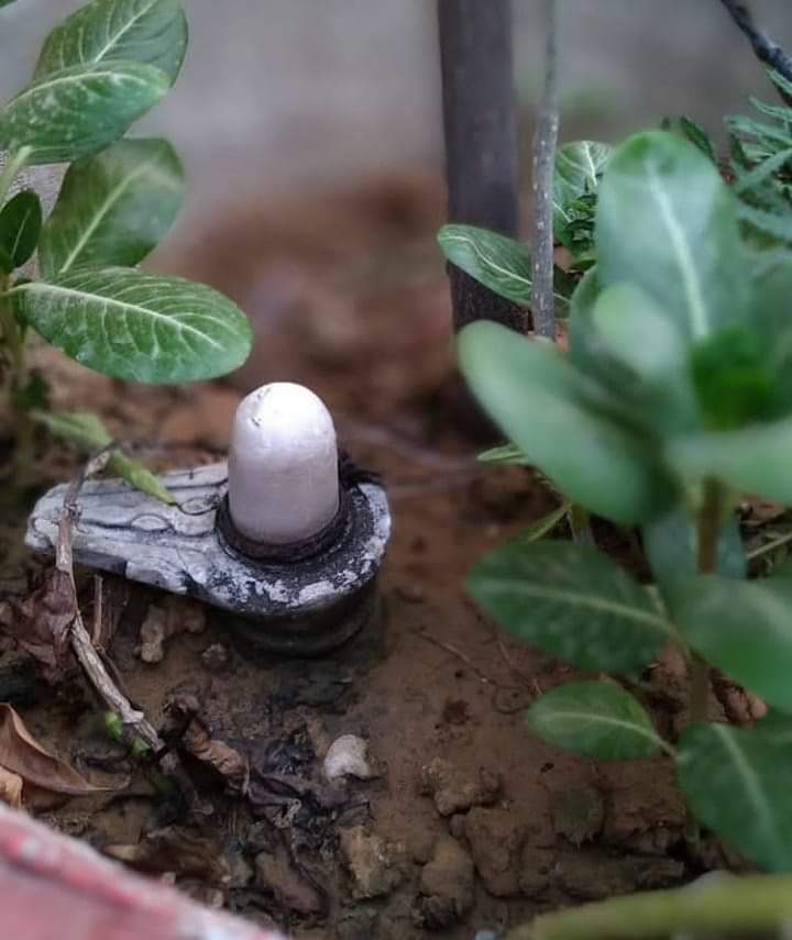 shiva
