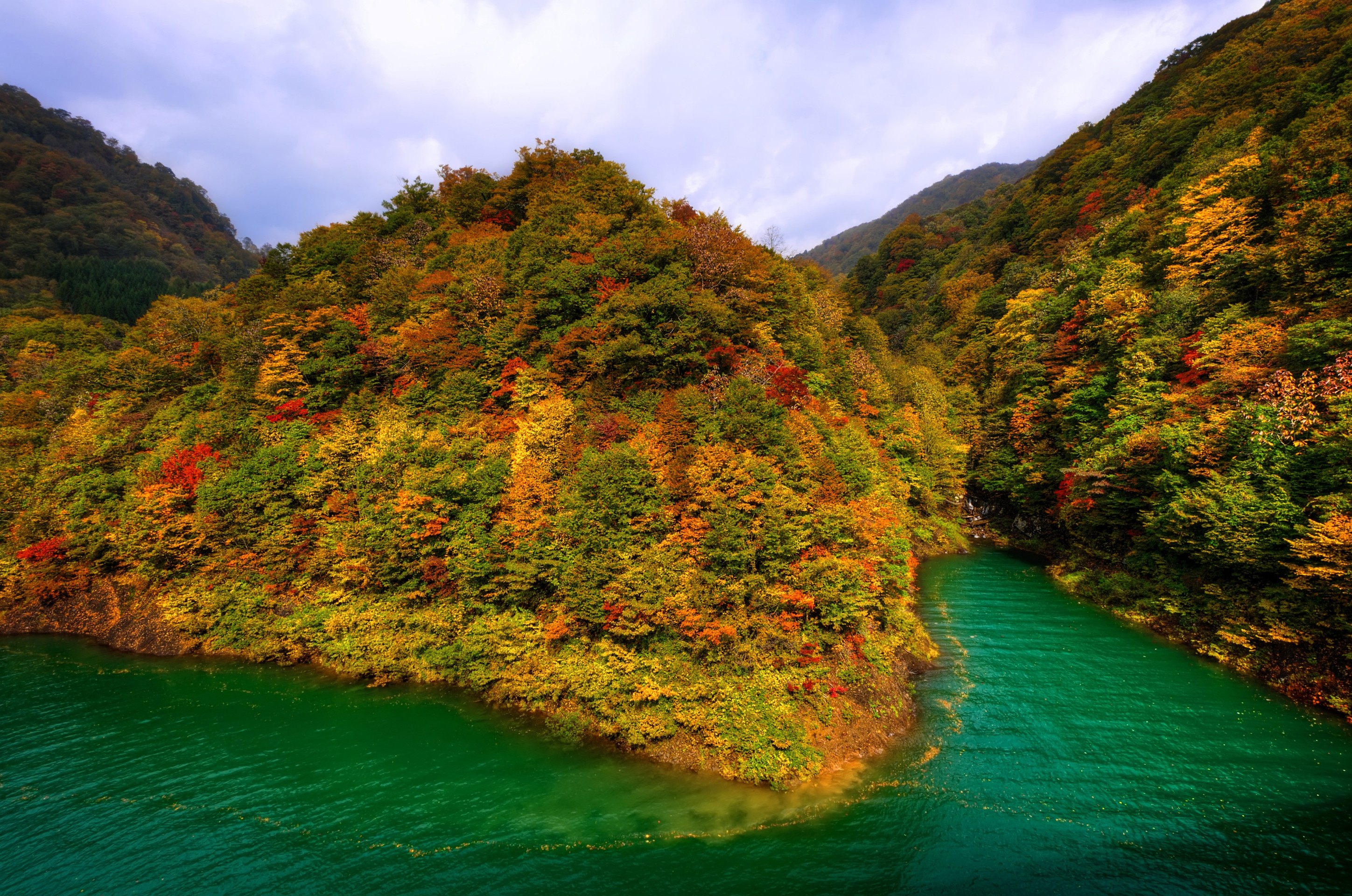 sfondi vegetation, lake
