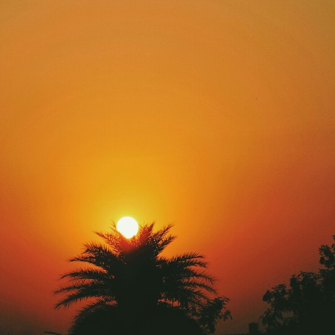 Rise and Shine