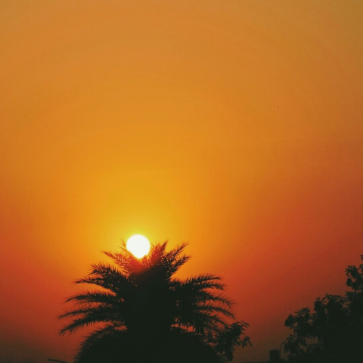 Rise and Shine