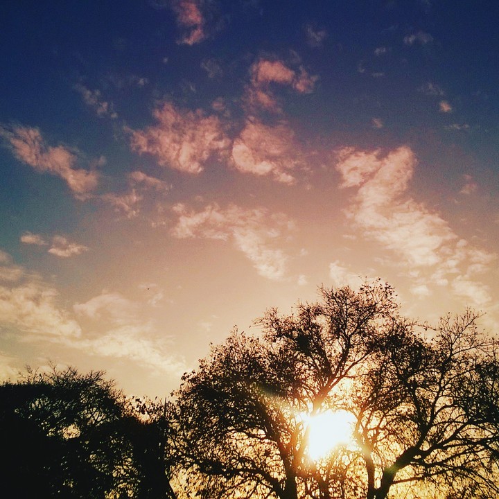 sky purple