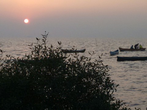 Arabian Sea