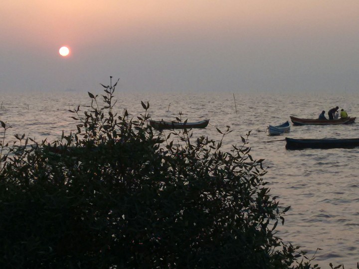 Arabian Sea