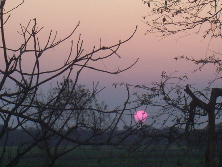 Beautiful Sunset