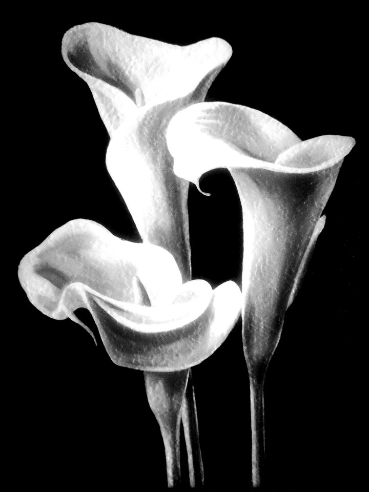 Flowers...