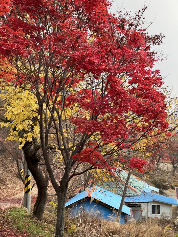 가을풍경