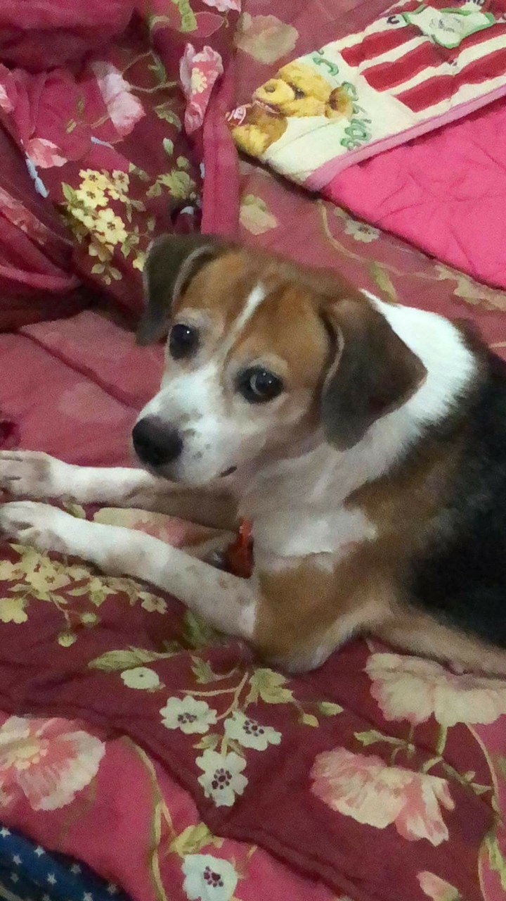 有精神
