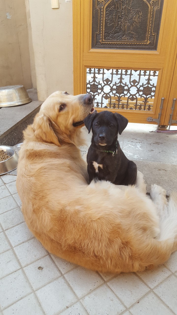 아빠와 아들