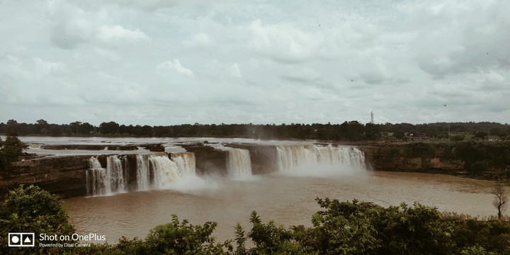 beauty