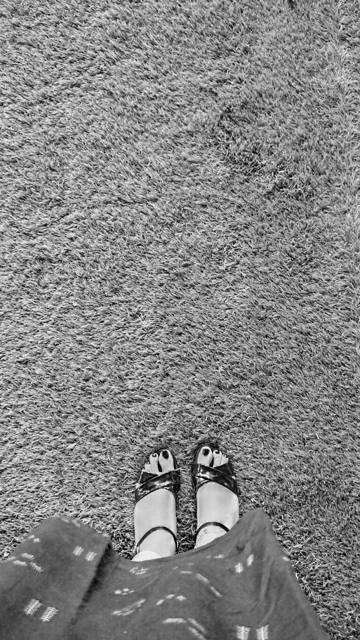 Aesthetic Grass