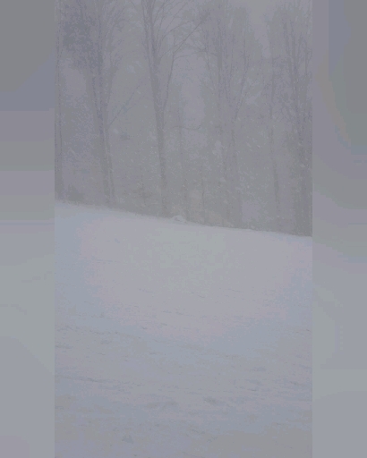 Ski Day