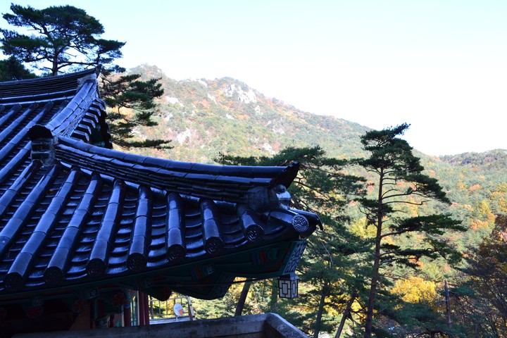 산이미지